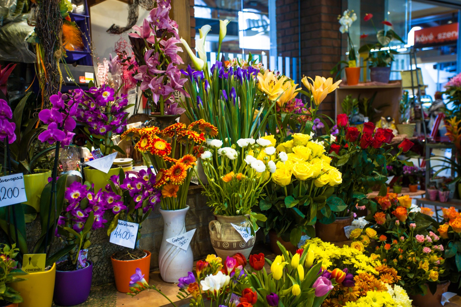 Cover photo of Rukhsar Flowers